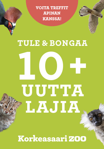 Bongaa 10+ uutta lajia! BANNER1_ALT